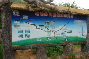 DSC06278_副本.jpg