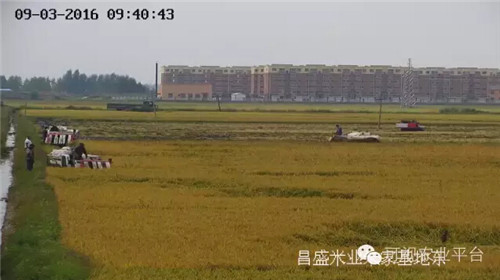 15_副本.jpg