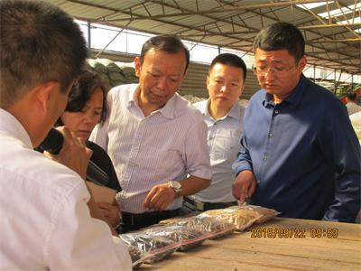 現(xiàn)場會2.jpg