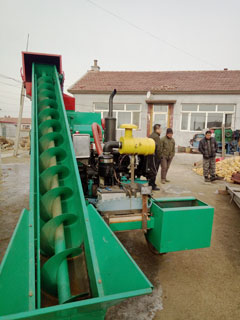p1.jpg