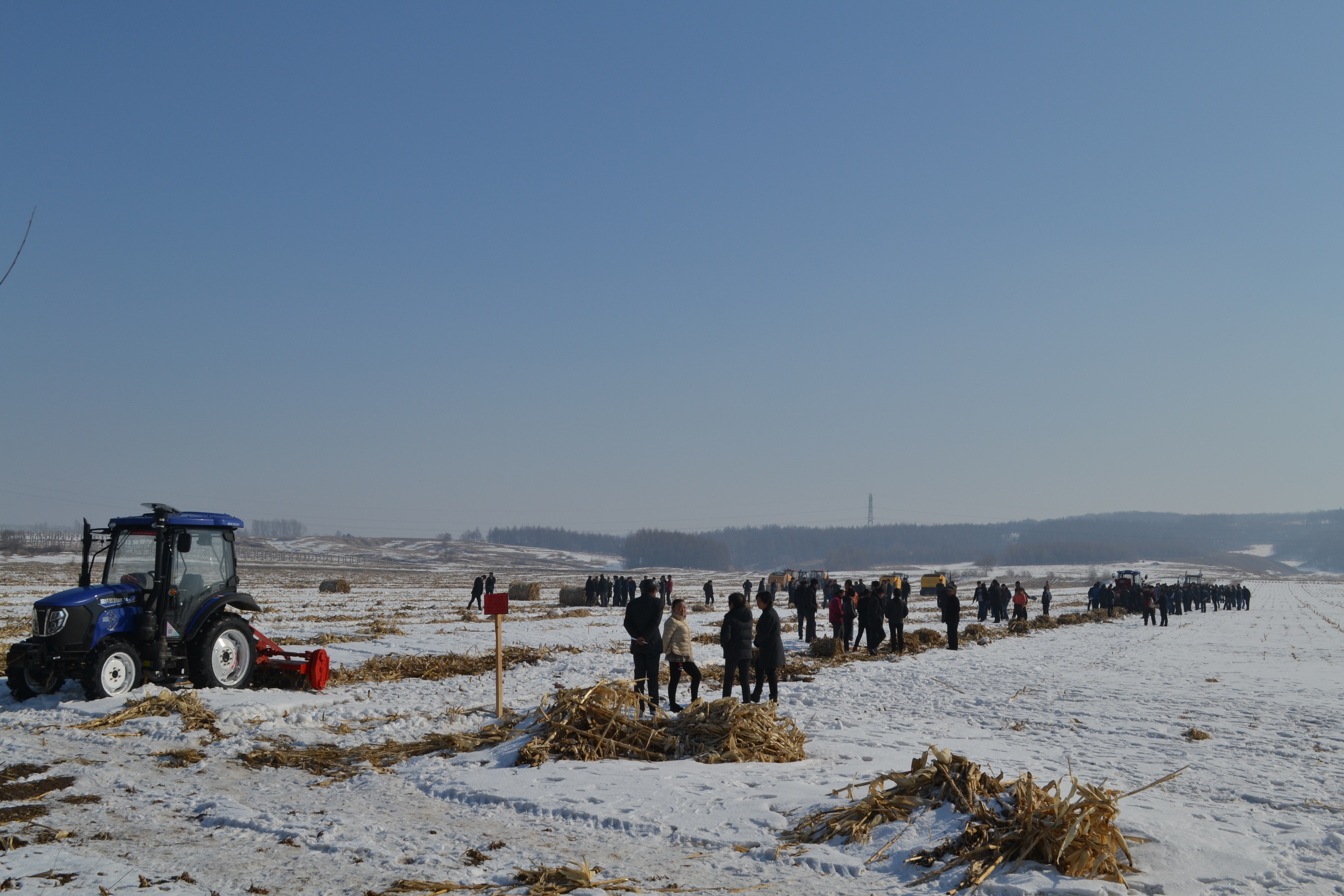DSC_0825.JPG