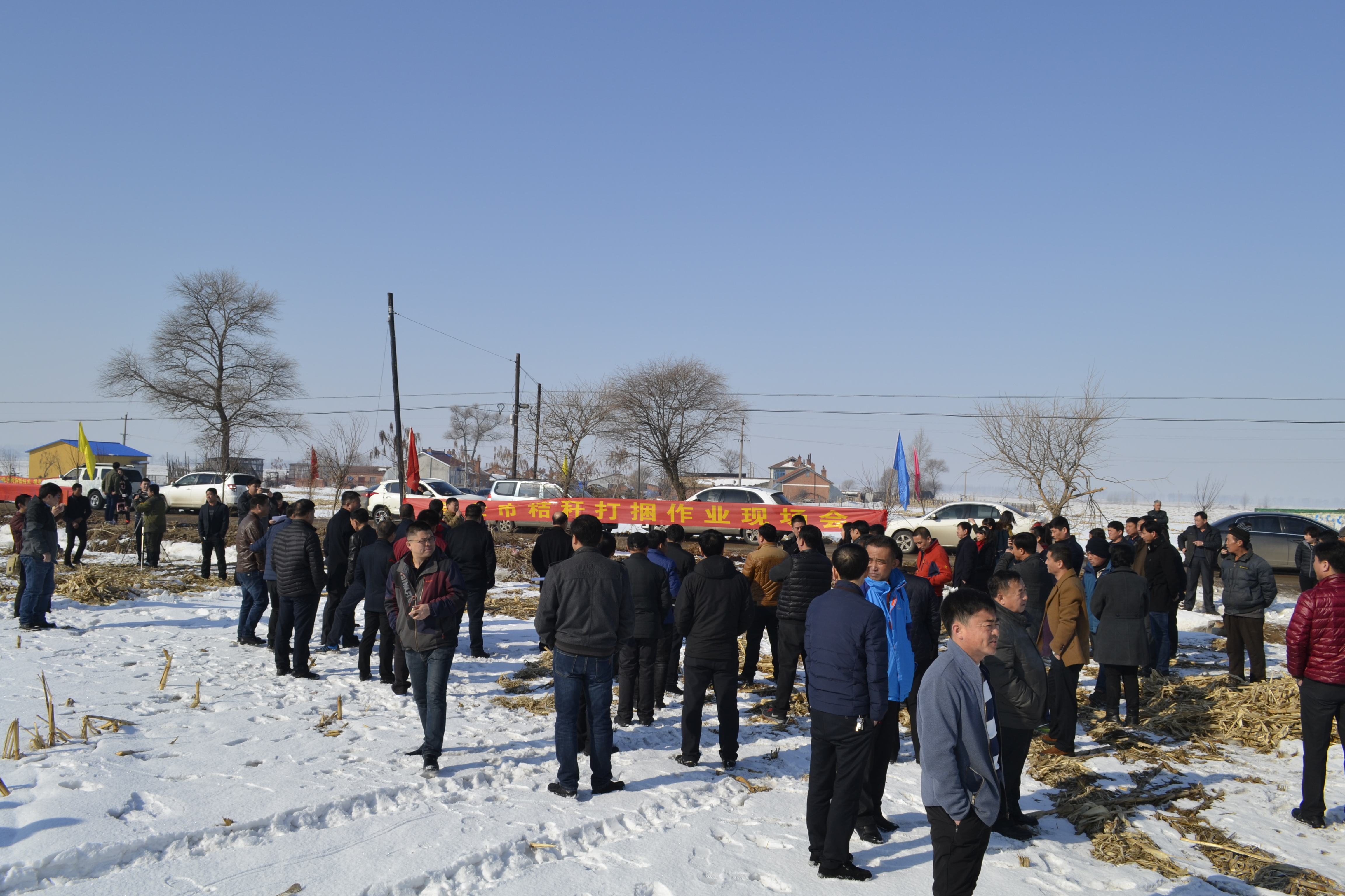 _DSC0800.JPG