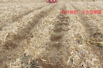 p1.jpg