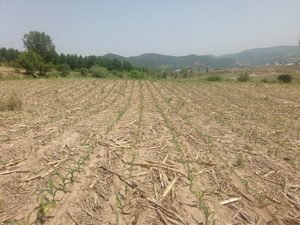 保護性驗收IMG_20180605_093119.jpg