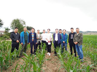 四平農(nóng)委來伊通縣實地調(diào)研秸稈覆蓋還田保護(hù)性耕作技術(shù)(圖文)