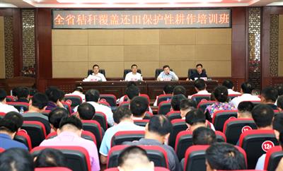 我省大力推廣實施秸稈覆蓋還田保護(hù)性耕作制度