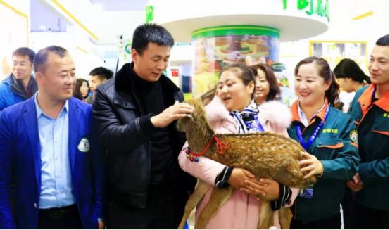 QQ截圖20181225144539.jpg
