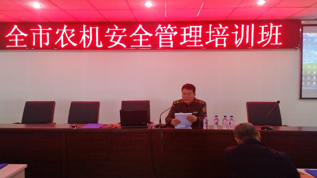 榆樹2.jpg