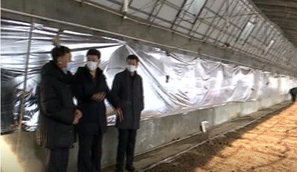 圖片2.jpg