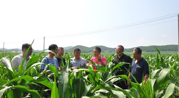 專家齊聚冷涼高濕山區(qū)“會診”保護性耕作“癥結(jié)”開“良方”