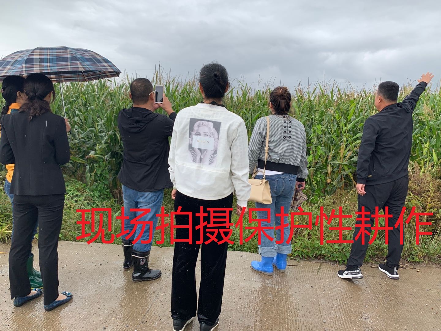 磐石市福安街保護(hù)性耕作與傳統(tǒng)耕作對(duì)比