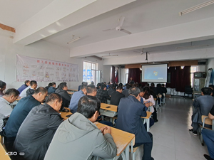 p3.jpg
