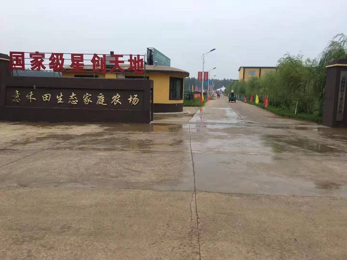 特色種植 融合經(jīng)營 共同致富