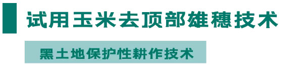 QQ圖片20210825092722.png