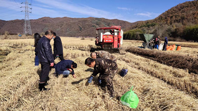 微信圖片_20211022101354_副本.jpg