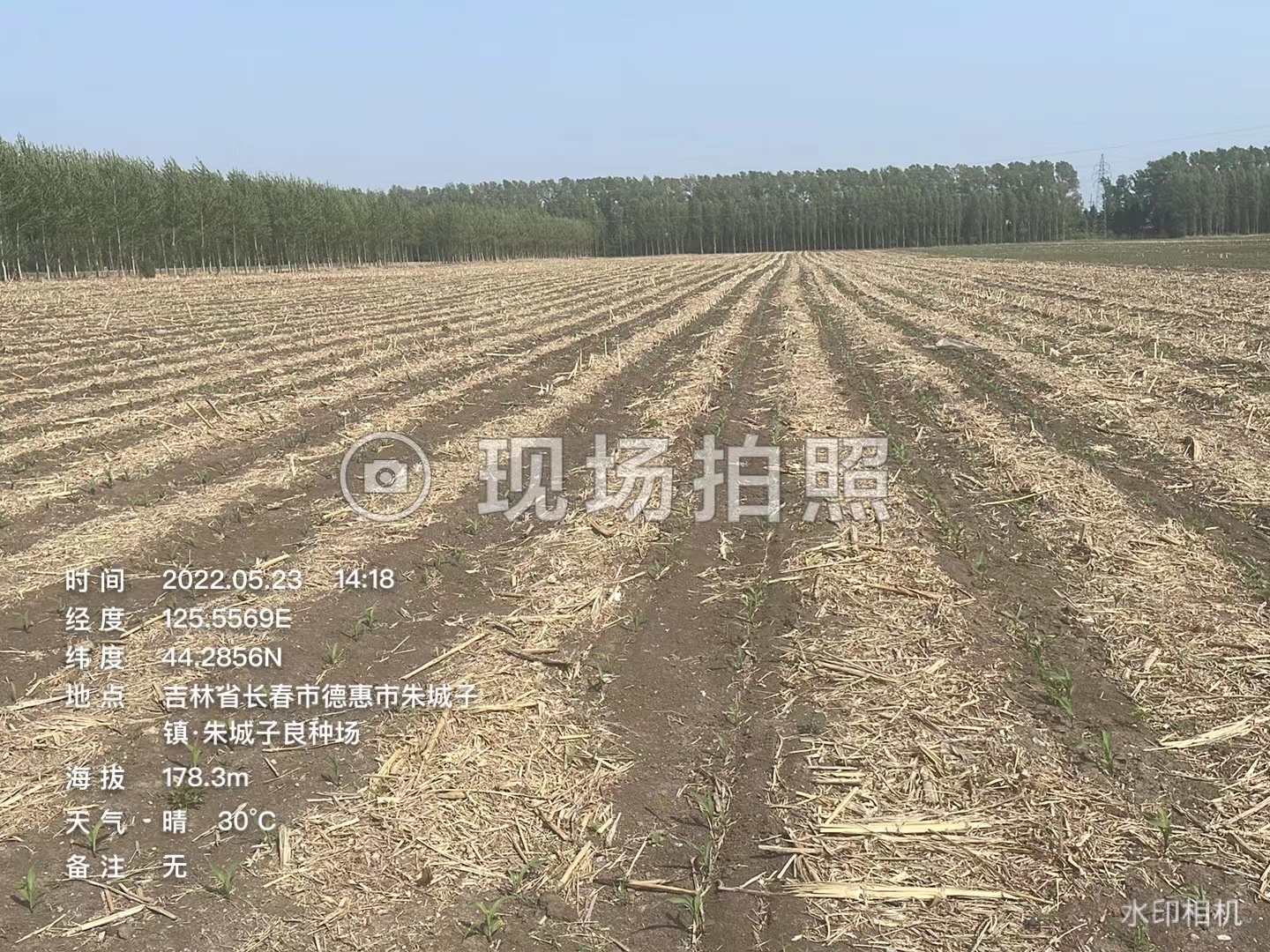 高產(chǎn)競賽地塊朱城子1.jpg