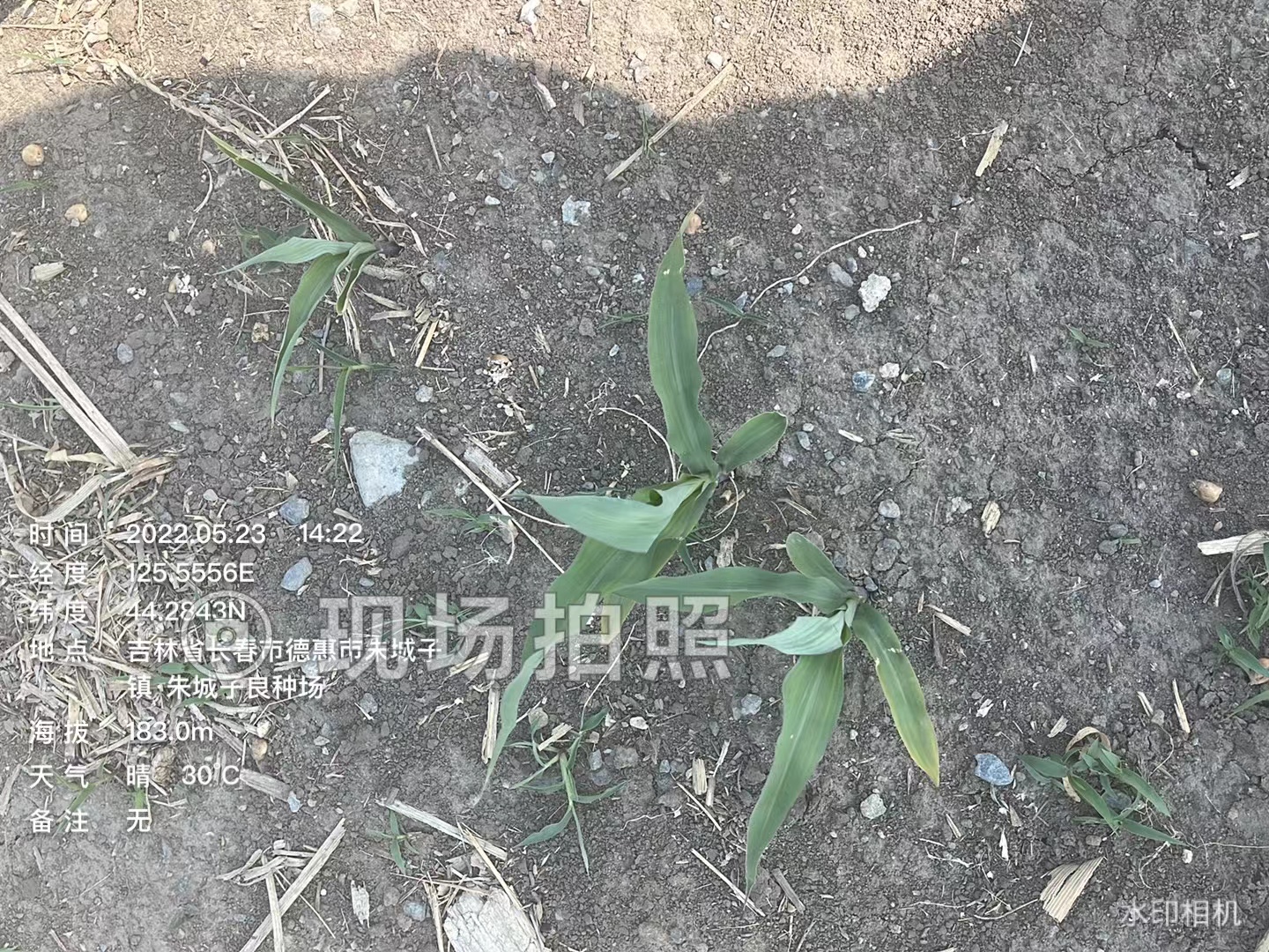 競賽地塊朱城子3.jpg