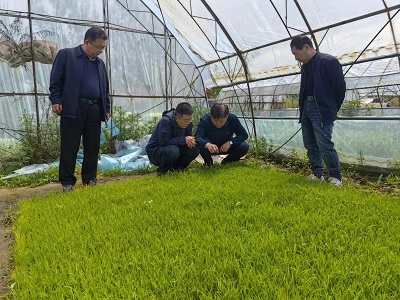州農(nóng)業(yè)農(nóng)村局李海波副局長到琿春調(diào)研農(nóng)機(jī)推廣工作