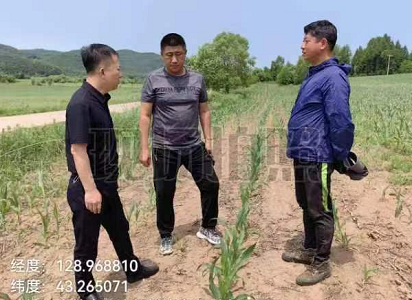 安圖縣明月鎮(zhèn)超前完成保護性耕作抽查核驗工作